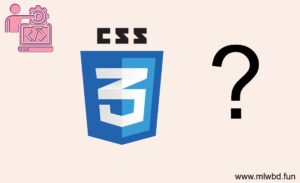 What in the World is CSS?